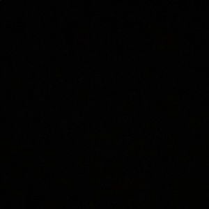 Meet your Posher, Willy